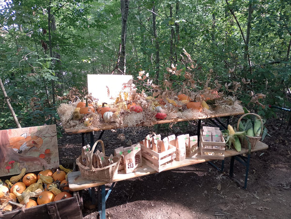 5 Zucche ornamentali